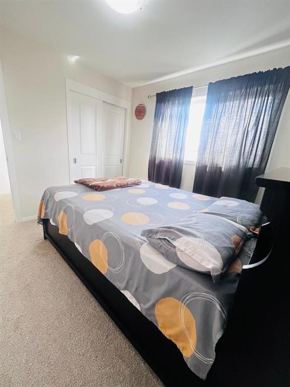 75 Golden Boy Lane, Winnipeg, Manitoba  R3W 0L9 - Photo 8 - 202526260