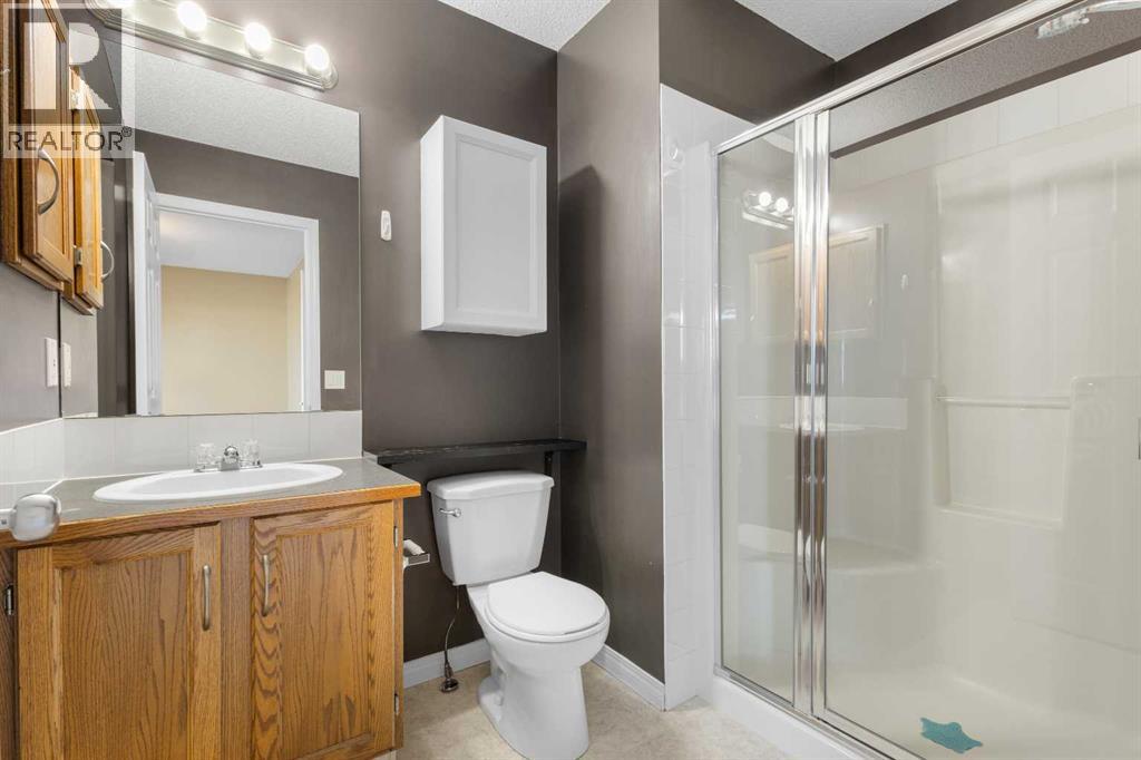 209 Copperfield Lane Se, Calgary, Alberta  T2Z 4T2 - Photo 20 - A2262860