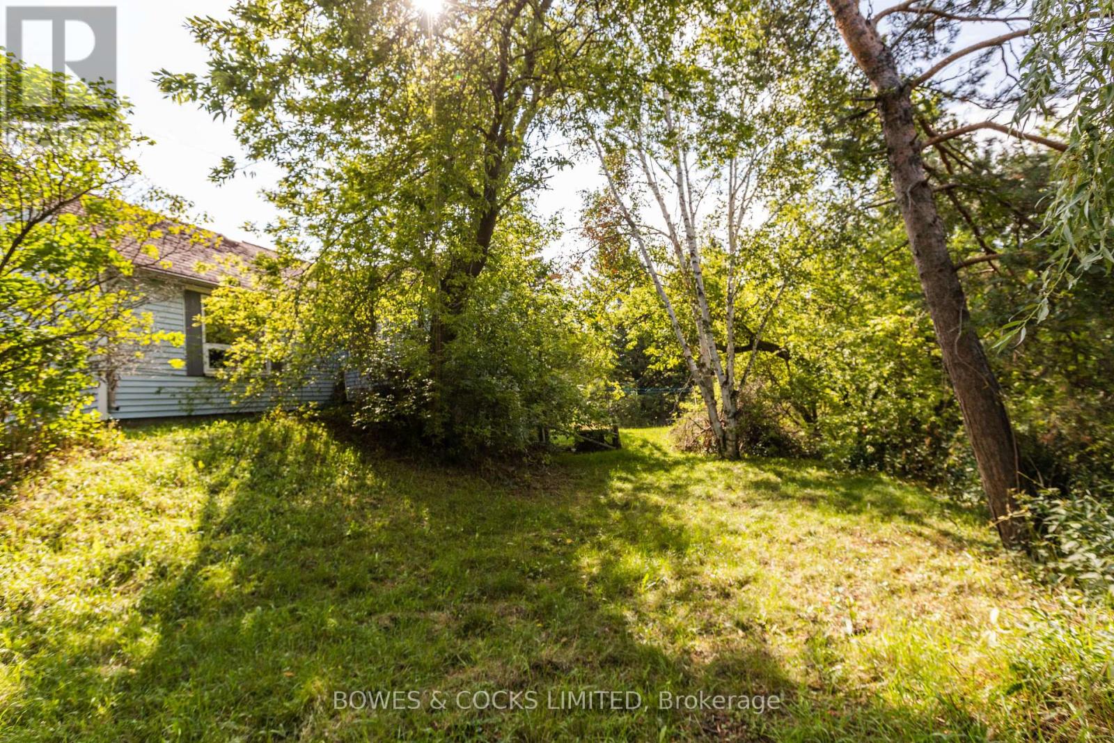 19 Jakeman Street, Kawartha Lakes, Ontario  L0A 1A0 - Photo 12 - X12459252