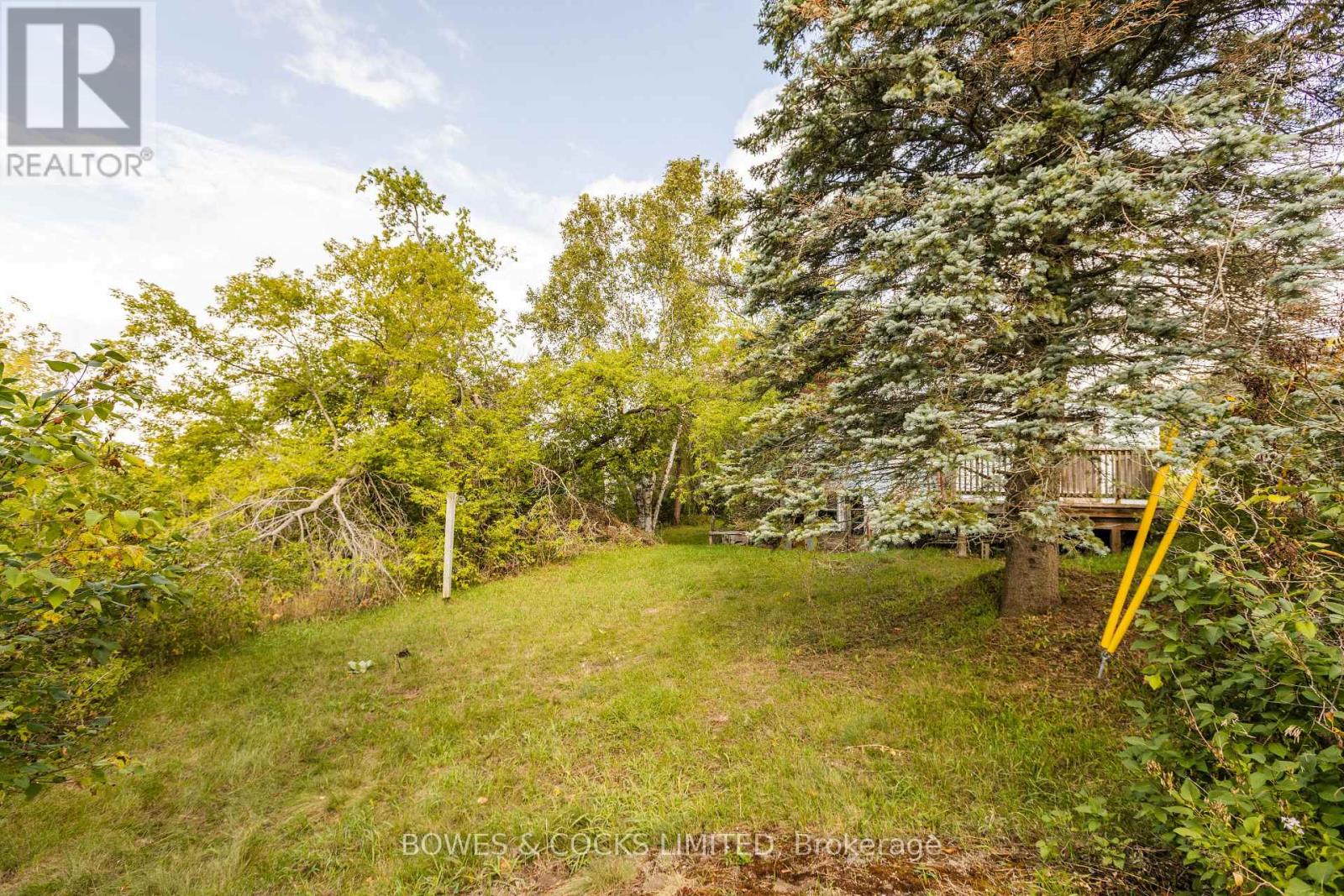 19 Jakeman Street, Kawartha Lakes, Ontario  L0A 1A0 - Photo 13 - X12459252