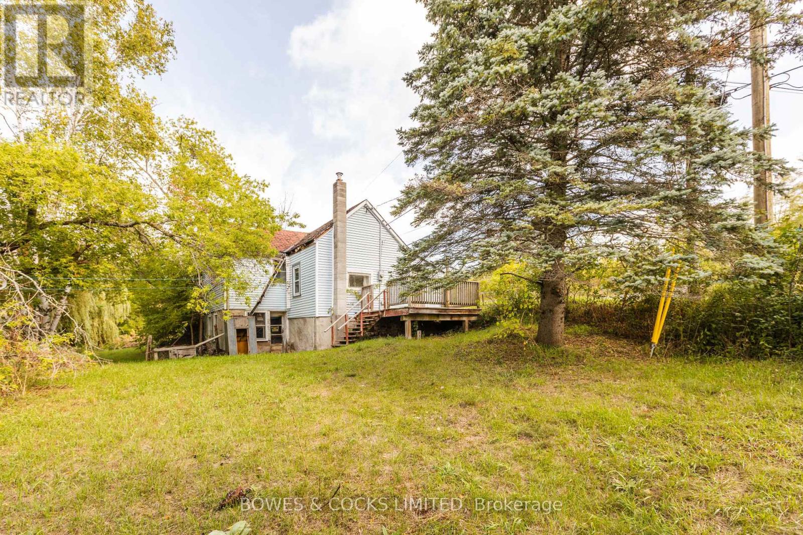 19 Jakeman Street, Kawartha Lakes, Ontario  L0A 1A0 - Photo 14 - X12459252