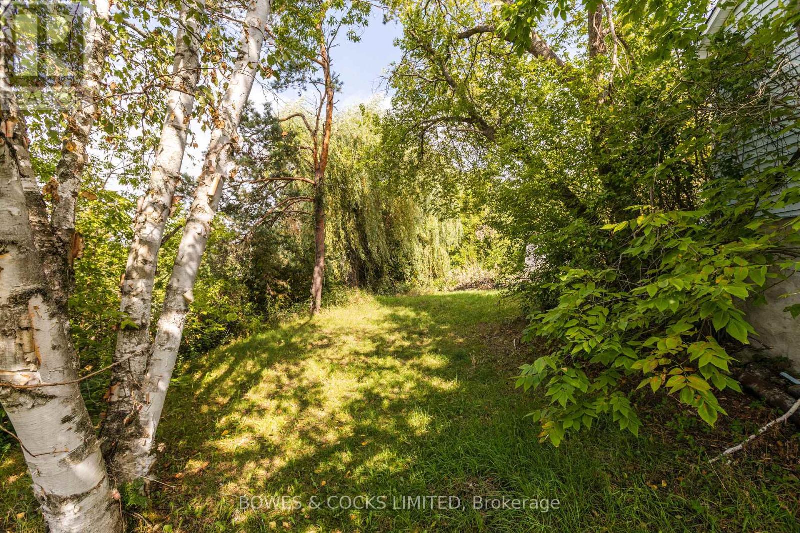 19 Jakeman Street, Kawartha Lakes, Ontario  L0A 1A0 - Photo 15 - X12459252