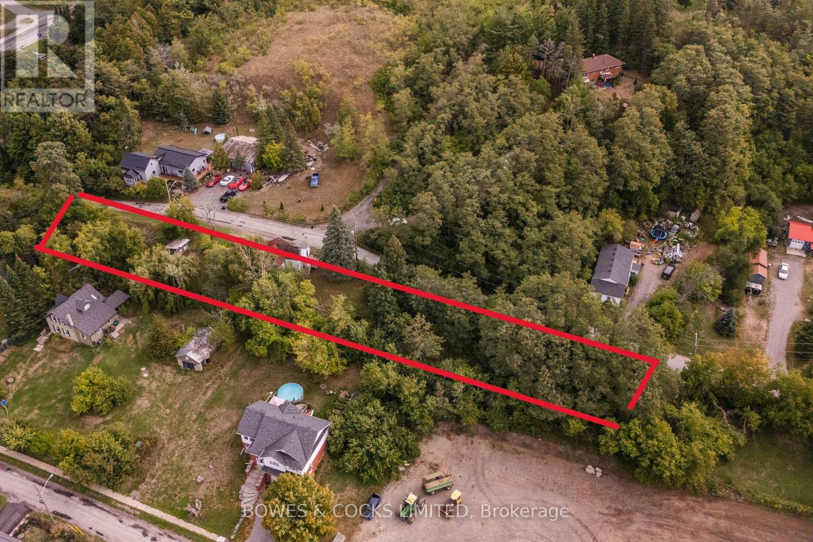 19 Jakeman Street, Kawartha Lakes, Ontario  L0A 1A0 - Photo 18 - X12459252