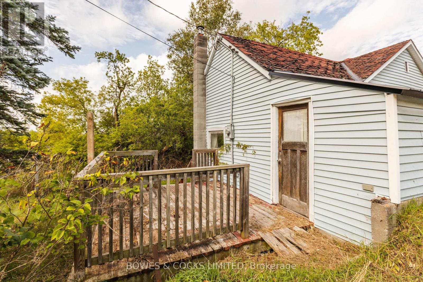 19 Jakeman Street, Kawartha Lakes, Ontario  L0A 1A0 - Photo 5 - X12459252