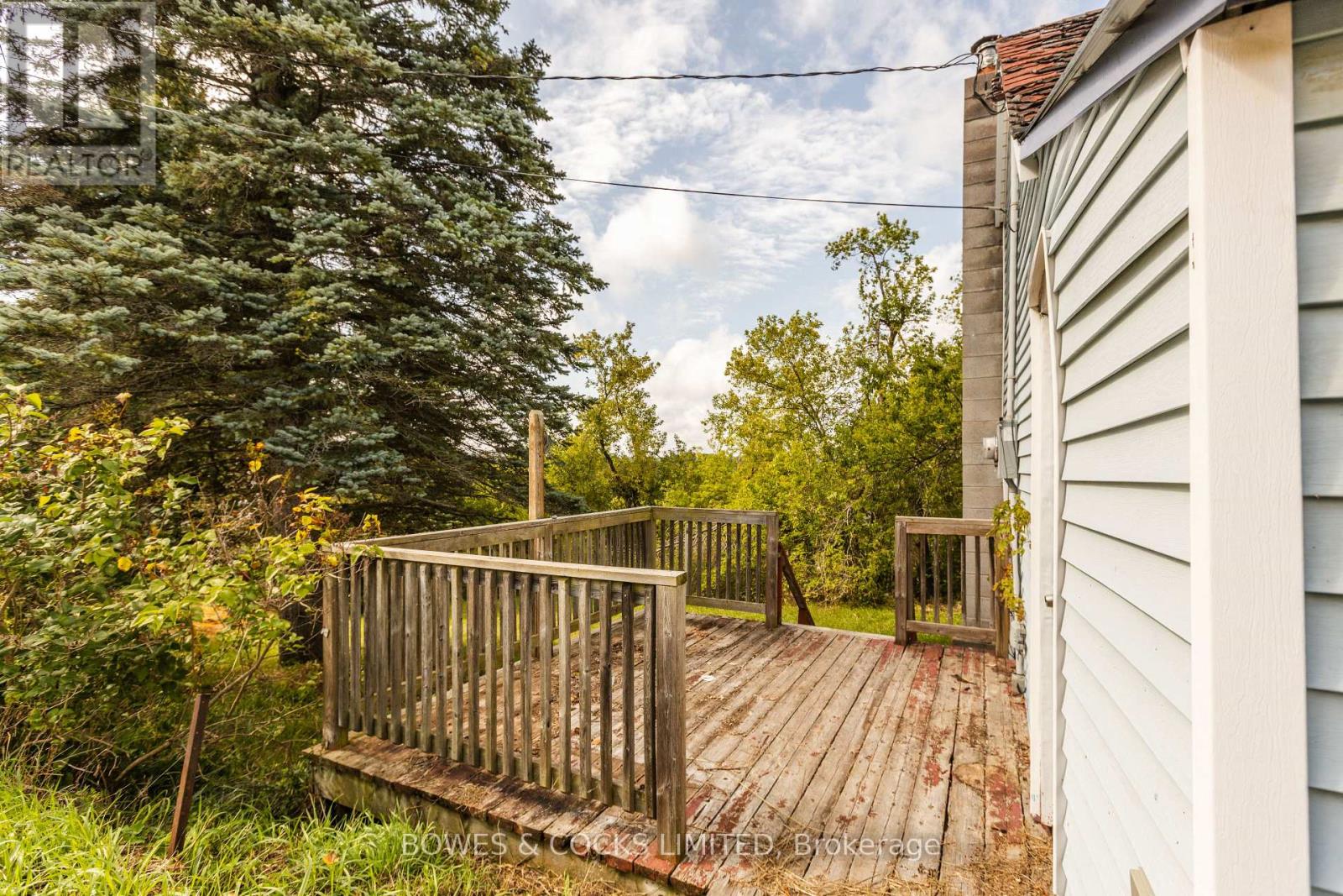 19 Jakeman Street, Kawartha Lakes, Ontario  L0A 1A0 - Photo 6 - X12459252