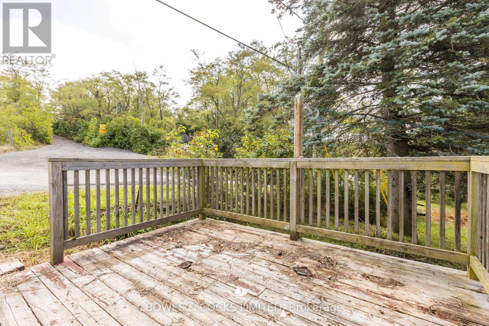 19 Jakeman Street, Kawartha Lakes, Ontario  L0A 1A0 - Photo 7 - X12459252
