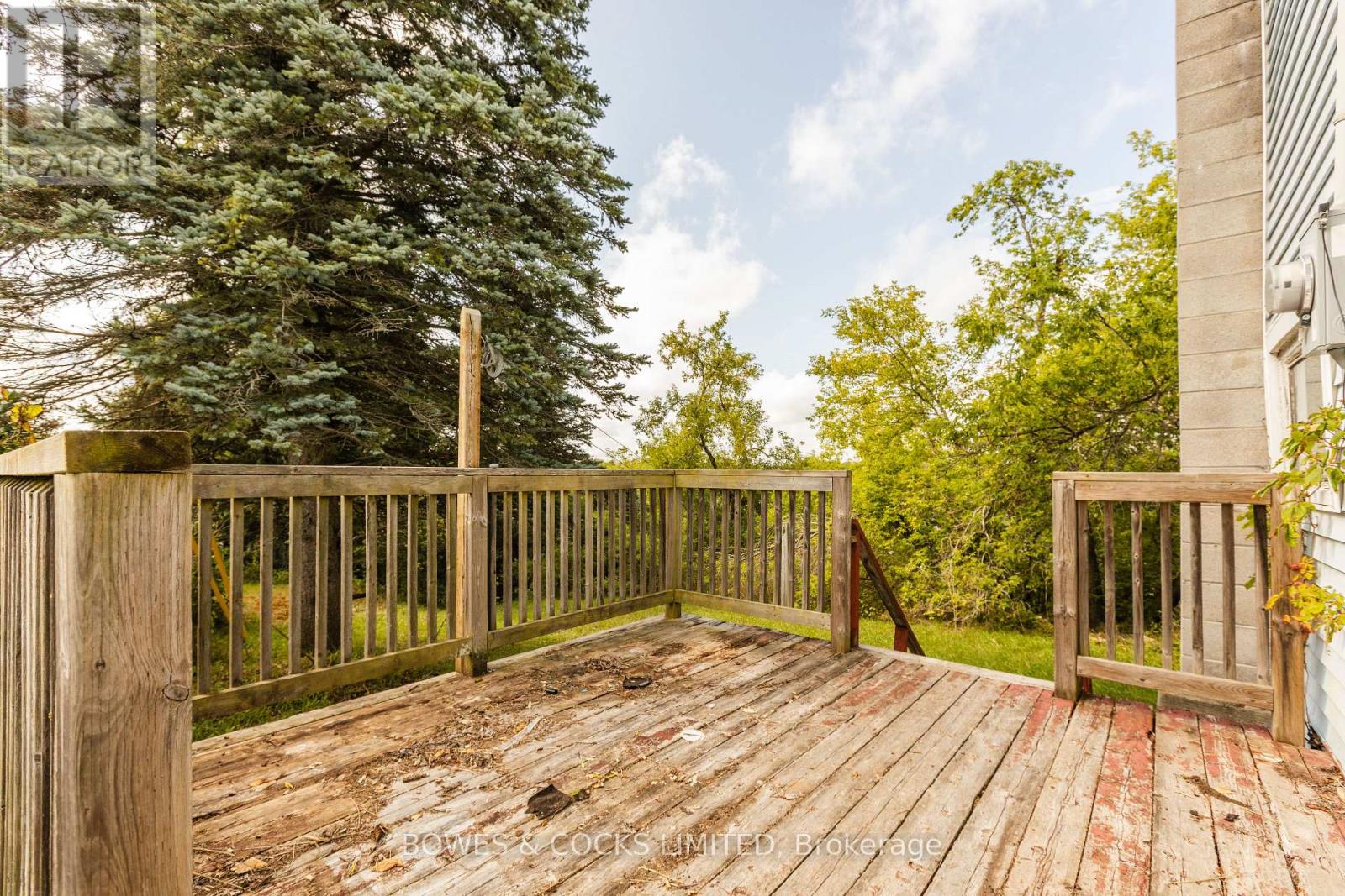 19 Jakeman Street, Kawartha Lakes, Ontario  L0A 1A0 - Photo 8 - X12459252