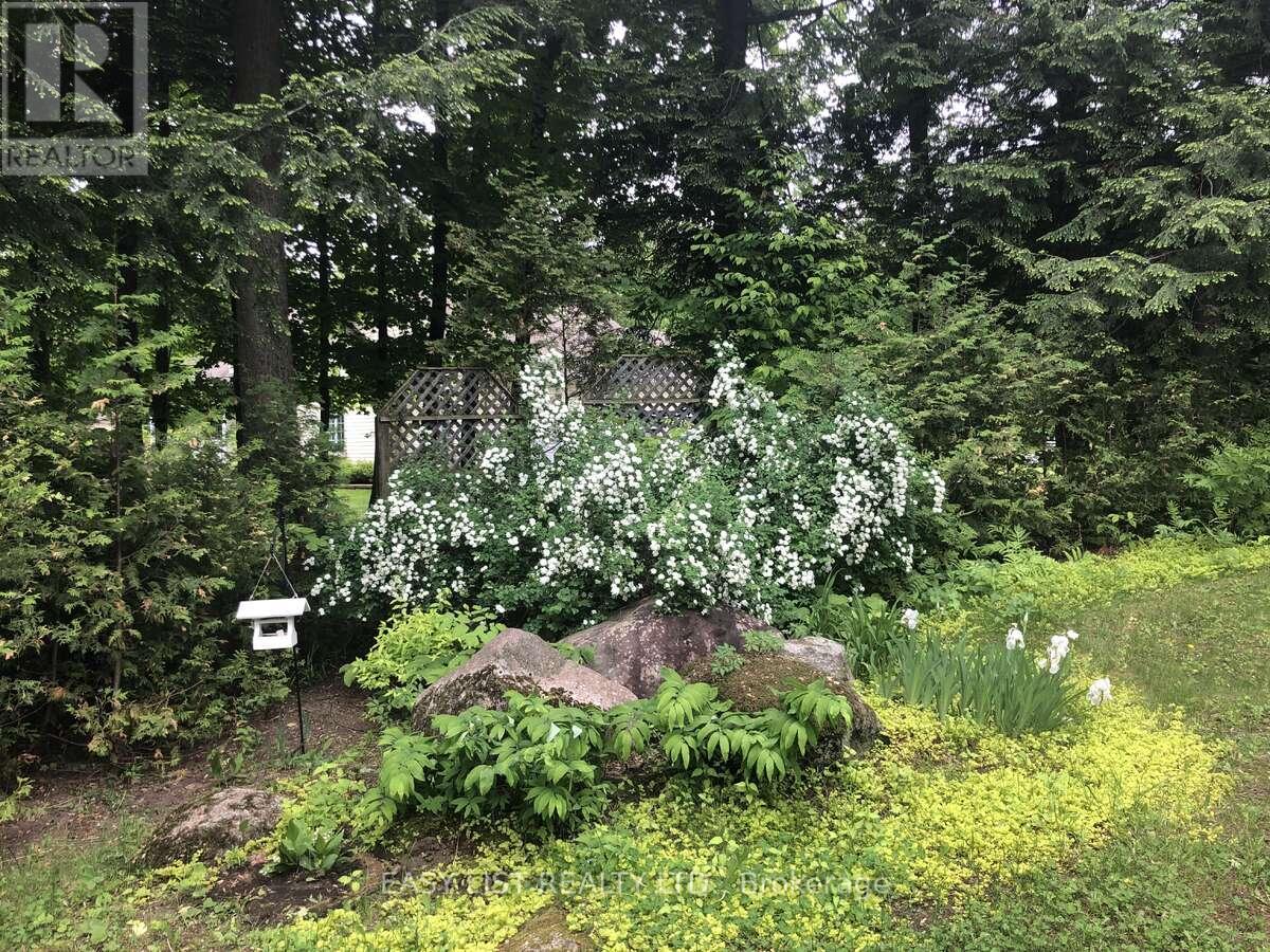 704 Pattee Road, Champlain, Ontario  K6A 2R2 - Photo 9 - X12459279