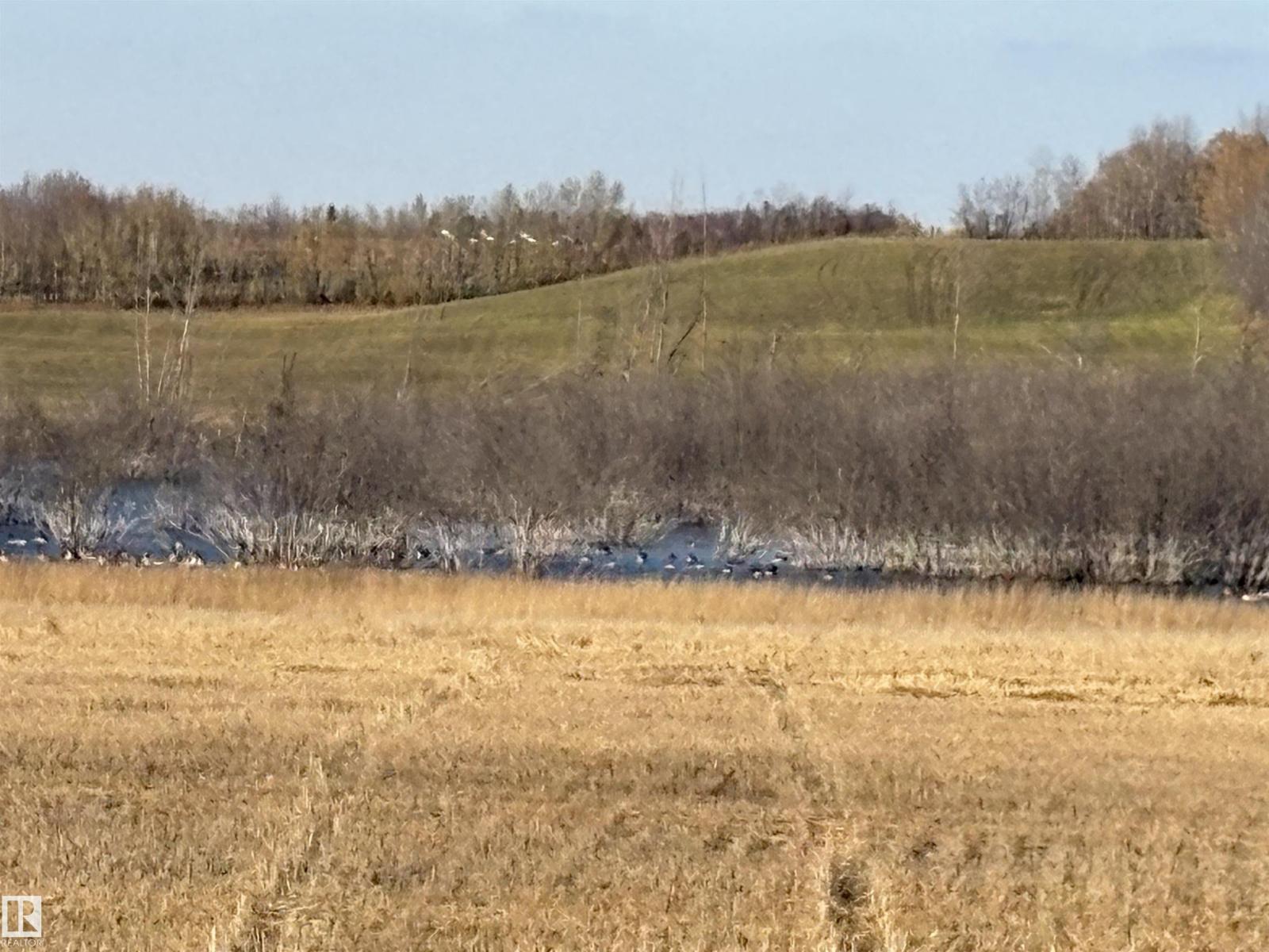 Unknown Address, ,    - Photo 30 - E4461904