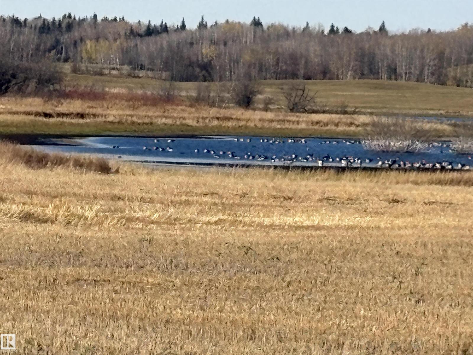 Unknown Address, ,    - Photo 20 - E4461904