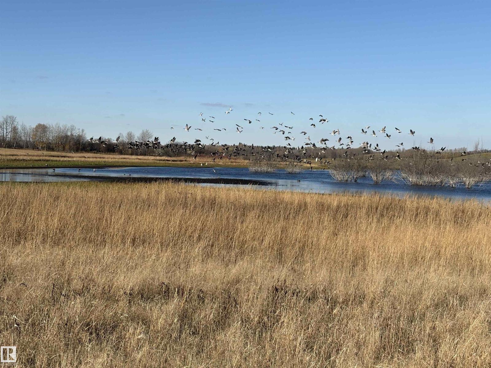 Unknown Address, ,    - Photo 19 - E4461904