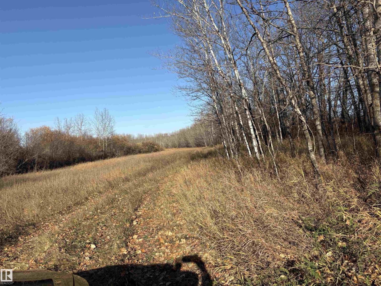 Unknown Address, ,    - Photo 17 - E4461904