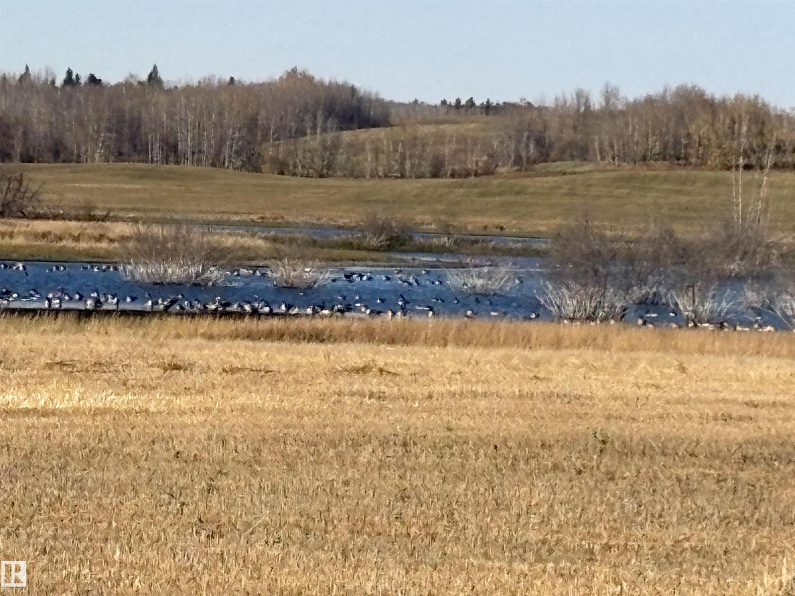 Unknown Address, ,    - Photo 22 - E4461904