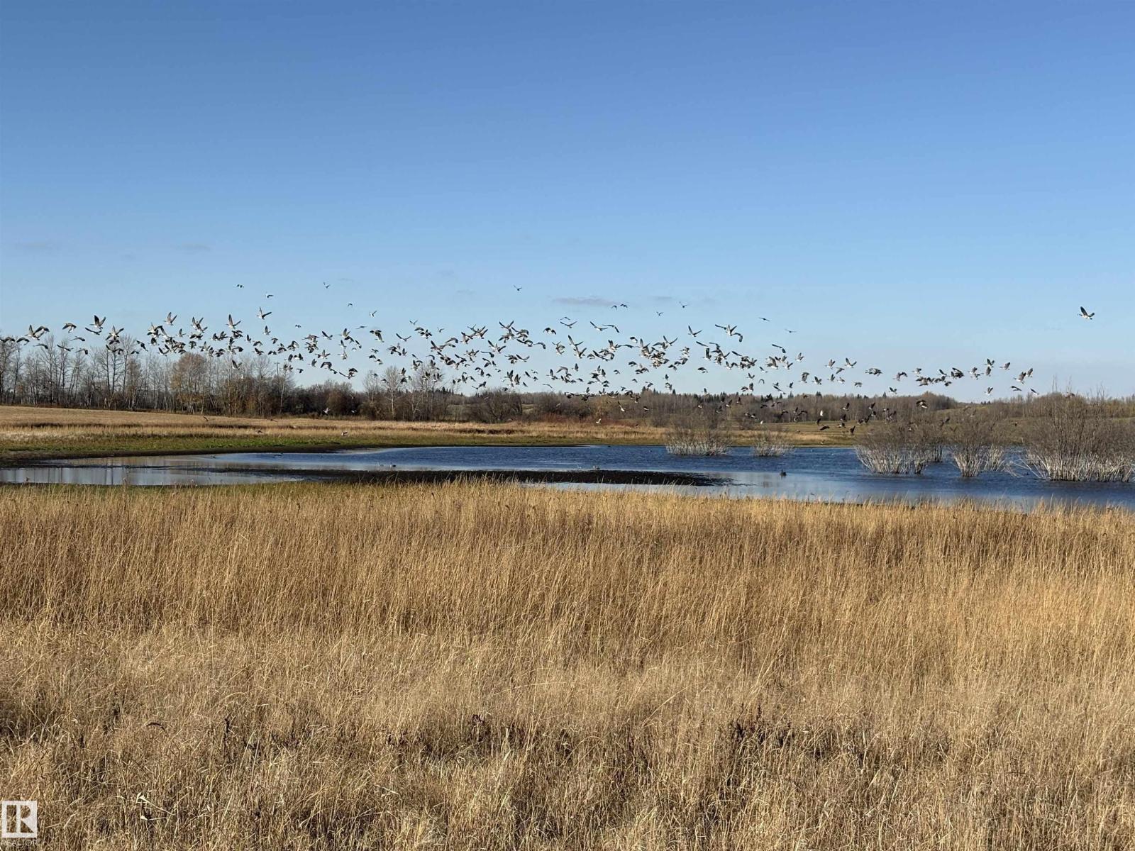 Unknown Address, ,    - Photo 23 - E4461904