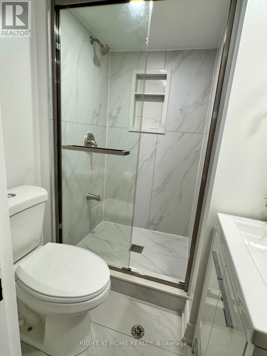 Bsmt - 69 Roywood Drive, Toronto, Ontario  M3A 2C9 - Photo 7 - C12459403