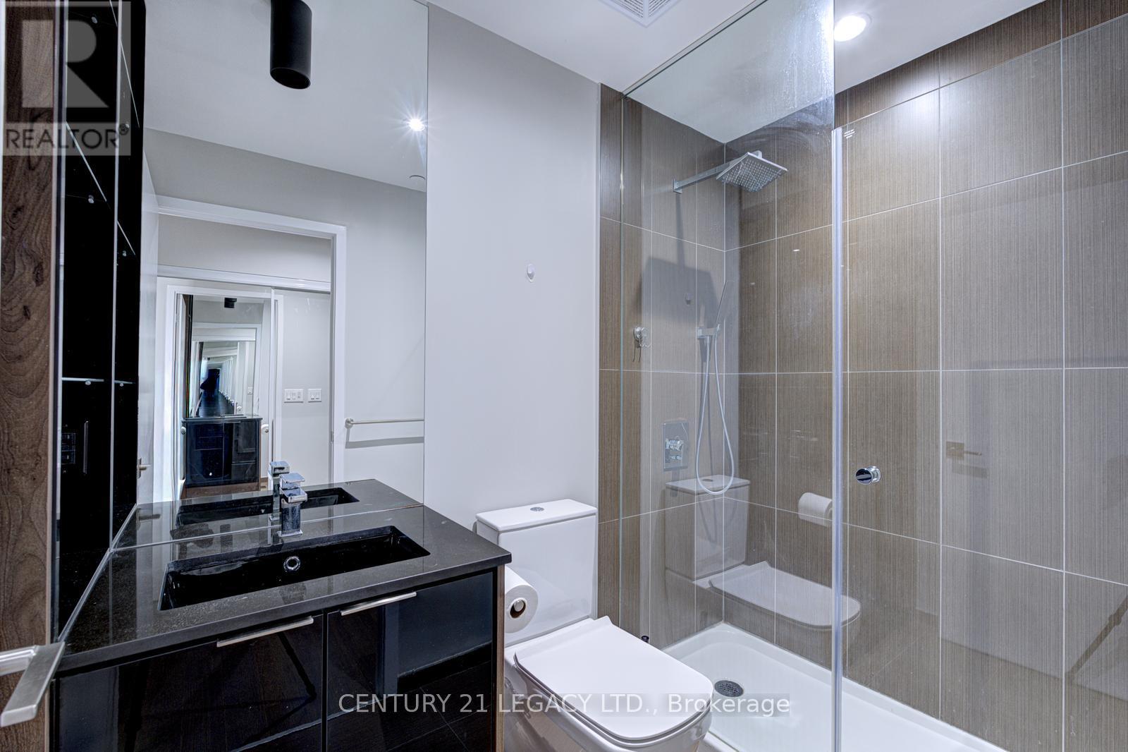 4201 - 70 Temperance Street, Toronto, Ontario  M5H 0B1 - Photo 28 - C12459422