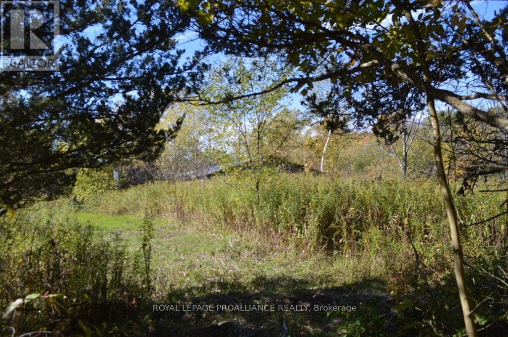 0 Scriver Road, Brighton, Ontario  K0K 1H0 - Photo 4 - X12459512