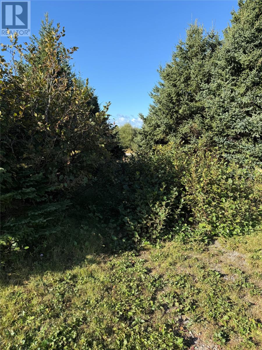 721 Main Road, St Davids, Newfoundland & Labrador  A0N 1X0 - Photo 11 - 1291467