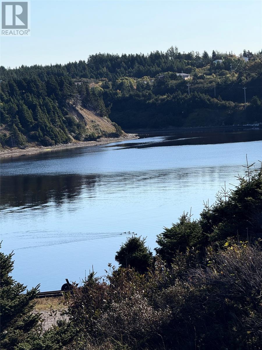 721 Main Road, St Davids, Newfoundland & Labrador  A0N 1X0 - Photo 12 - 1291467