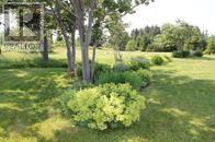 721 Main Road, St Davids, Newfoundland & Labrador  A0N 1X0 - Photo 21 - 1291467