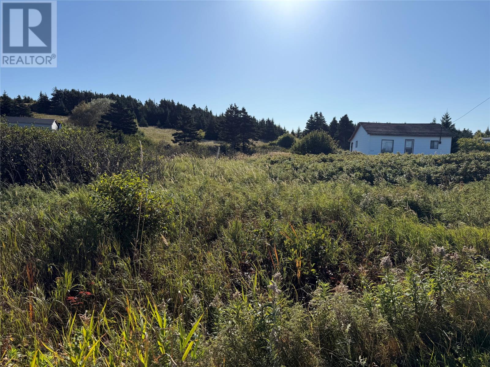 721 Main Road, St Davids, Newfoundland & Labrador  A0N 1X0 - Photo 6 - 1291467