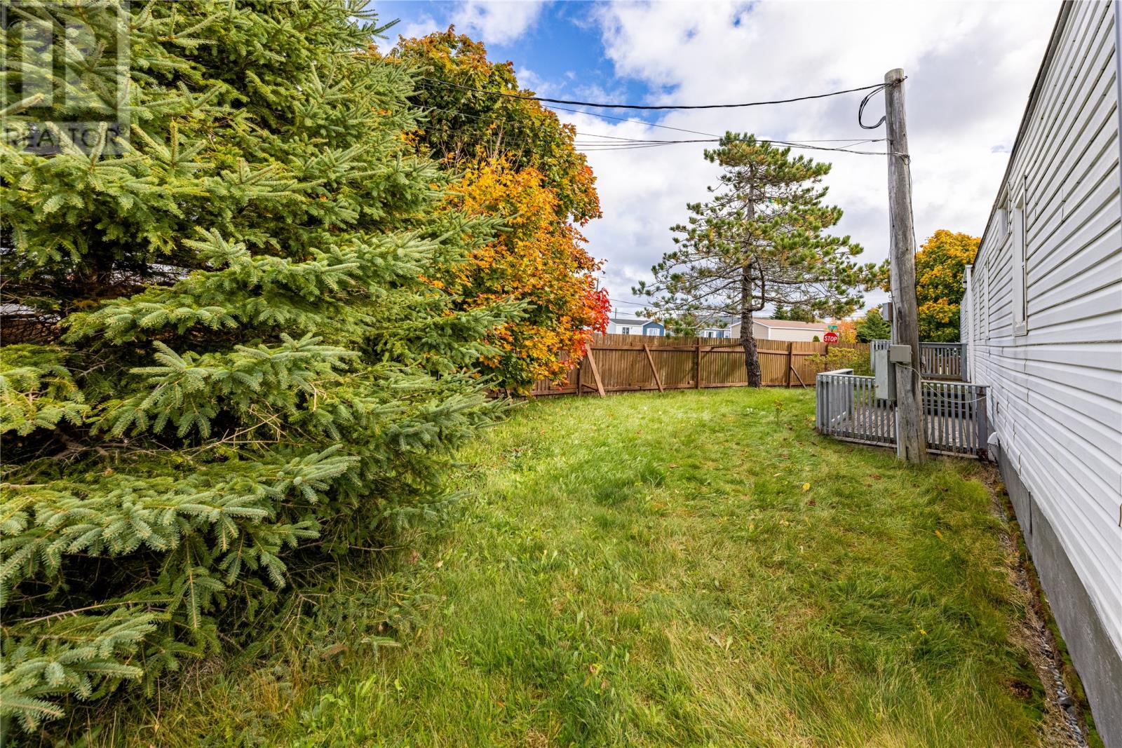 113 Hussey Drive, St. John's, Newfoundland & Labrador  A1A 4Z5 - Photo 16 - 1291458