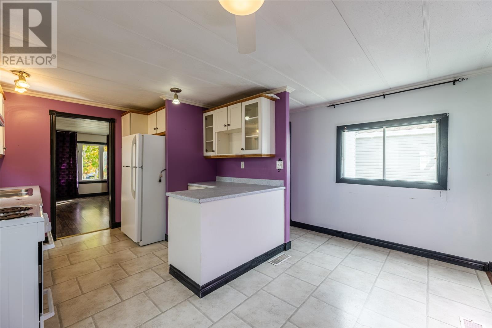 113 Hussey Drive, St. John's, Newfoundland & Labrador  A1A 4Z5 - Photo 4 - 1291458