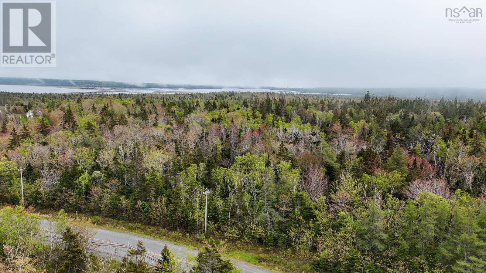Birch Grove Road, Port Morien, Nova Scotia  B1B 1J3 - Photo 2 - 202513267