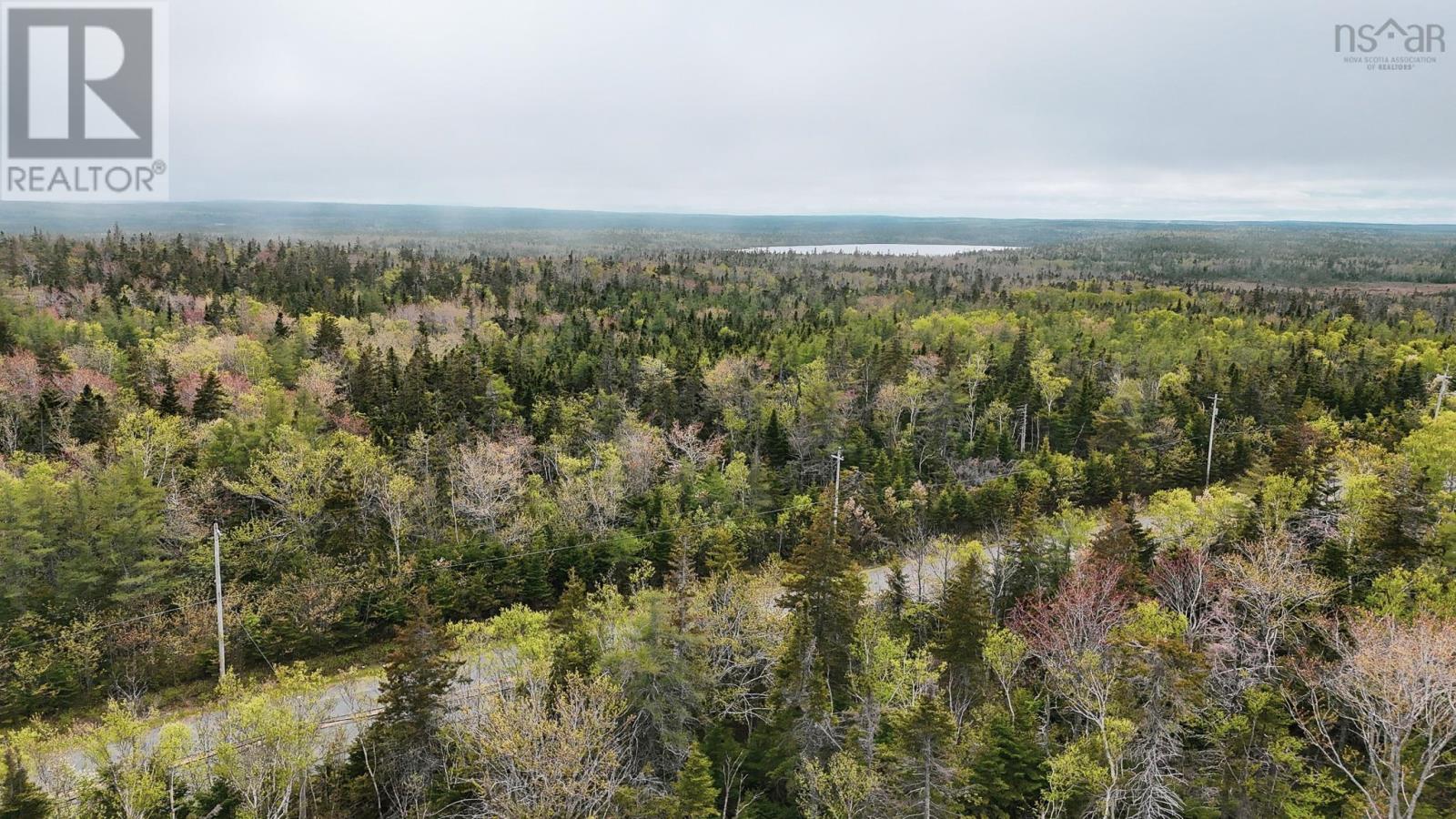 Birch Grove Road, Port Morien, Nova Scotia  B1B 1J3 - Photo 4 - 202513267
