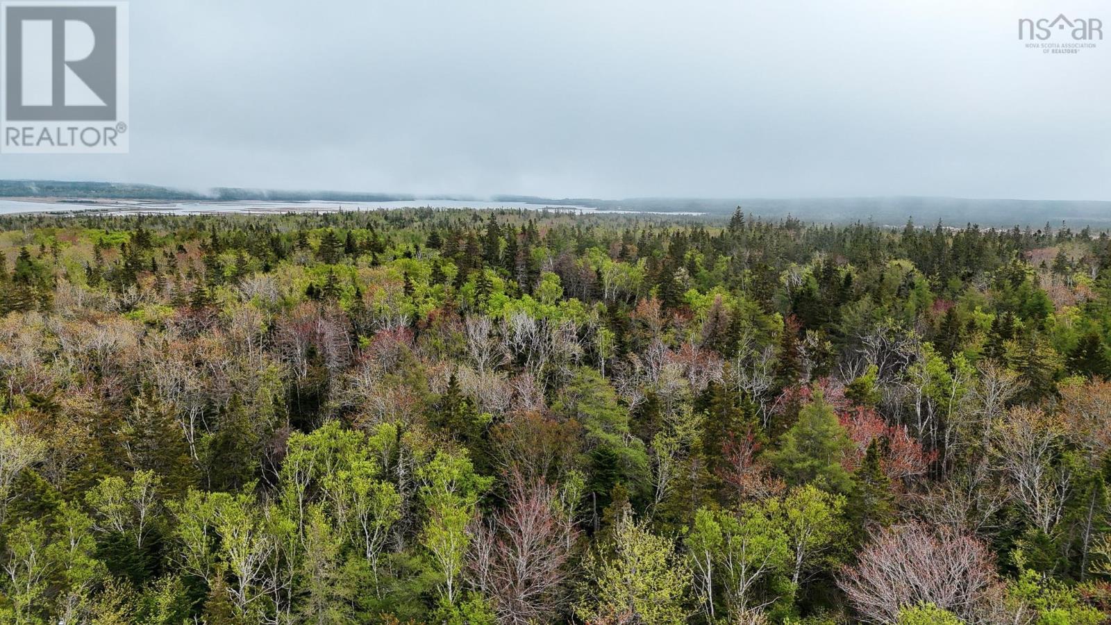 Birch Grove Road, Port Morien, Nova Scotia  B1B 1J3 - Photo 3 - 202513267