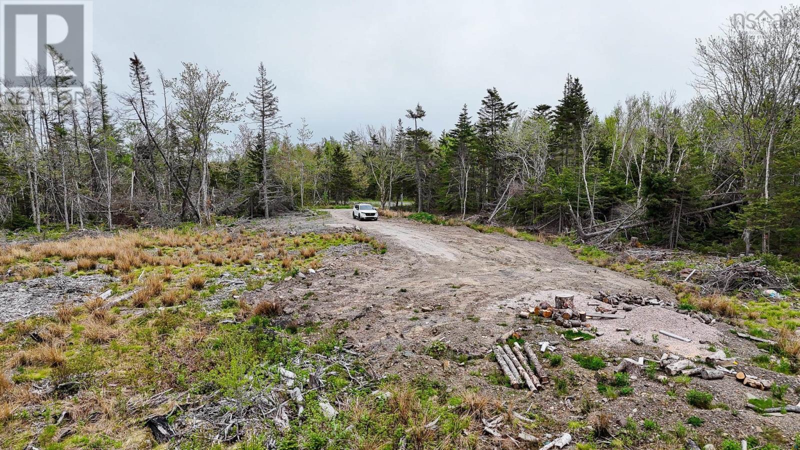 Birch Grove Road, Port Morien, Nova Scotia  B1B 1J3 - Photo 4 - 202513273