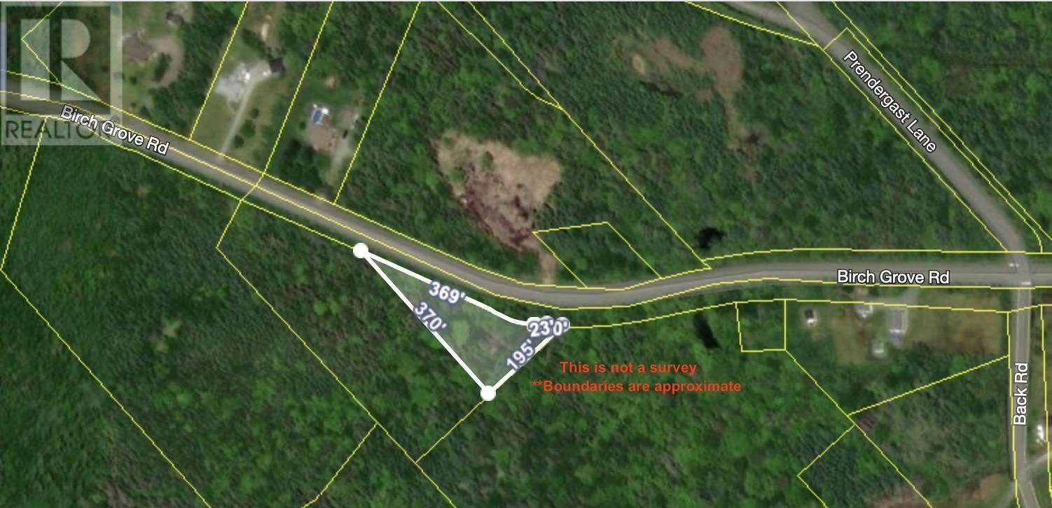 Birch Grove Road, Port Morien, Nova Scotia  B1B 1J3 - Photo 5 - 202513267