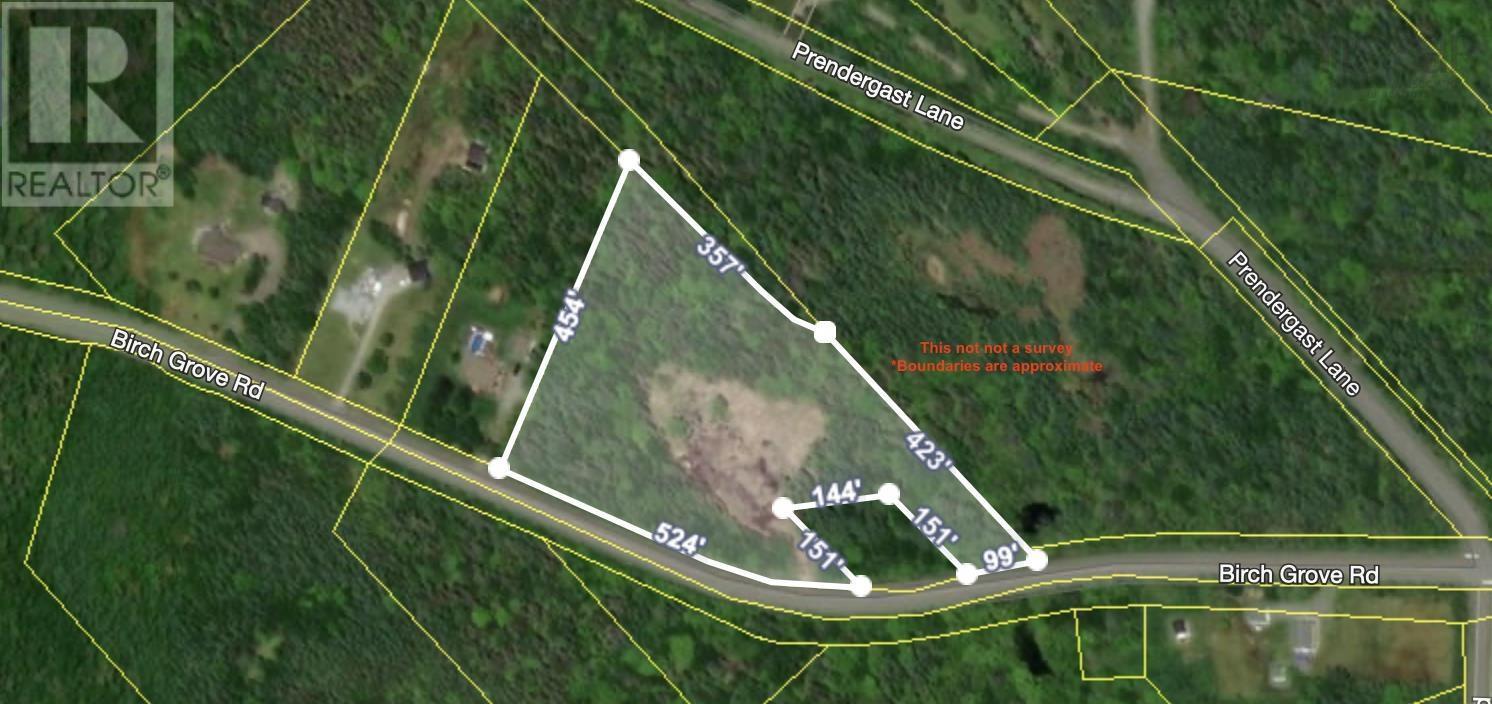 Birch Grove Road, Port Morien, Nova Scotia  B1B 1J3 - Photo 10 - 202513273