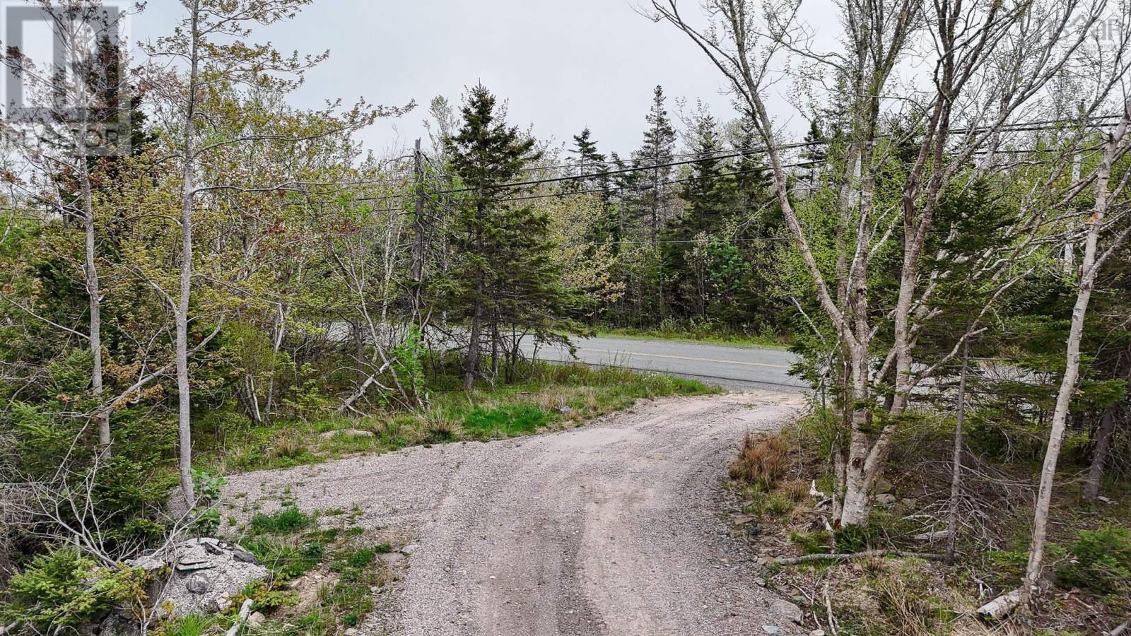 Birch Grove Road, Port Morien, Nova Scotia  B1B 1J3 - Photo 5 - 202513273
