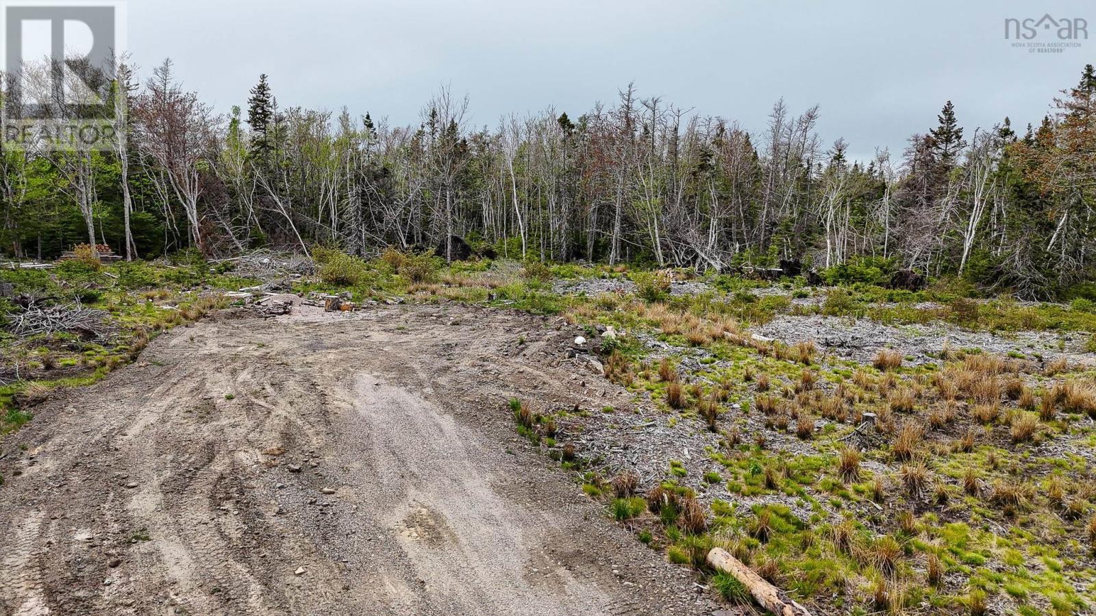 Birch Grove Road, Port Morien, Nova Scotia  B1B 1J3 - Photo 7 - 202513273
