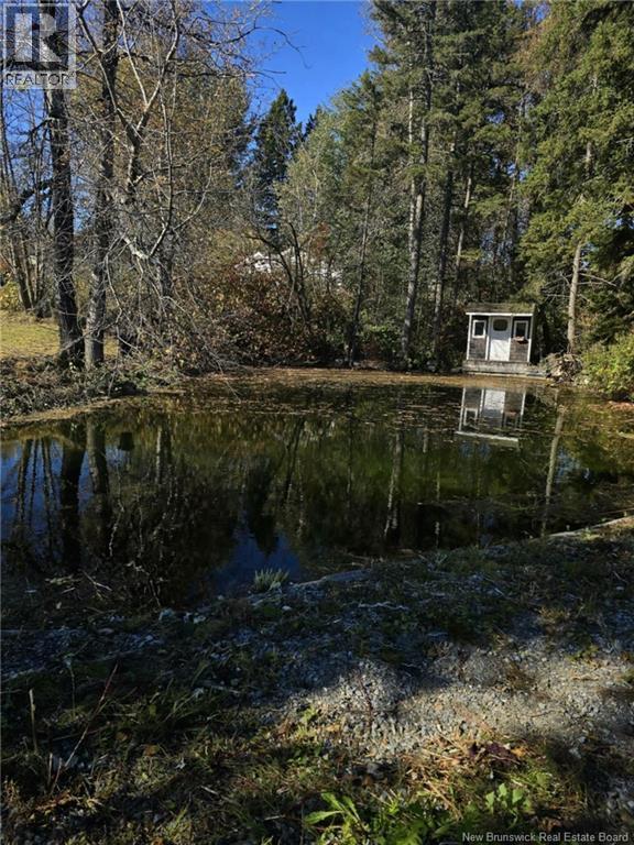86 Saint Andre Road, Grand-Sault/grand Falls, New Brunswick  E3Y 3P7 - Photo 44 - NB127658