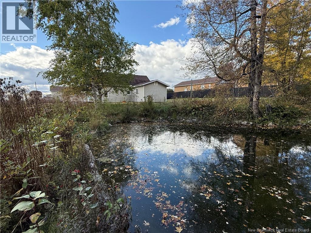 86 Saint Andre Road, Grand-Sault/grand Falls, New Brunswick  E3Y 3P7 - Photo 42 - NB127658