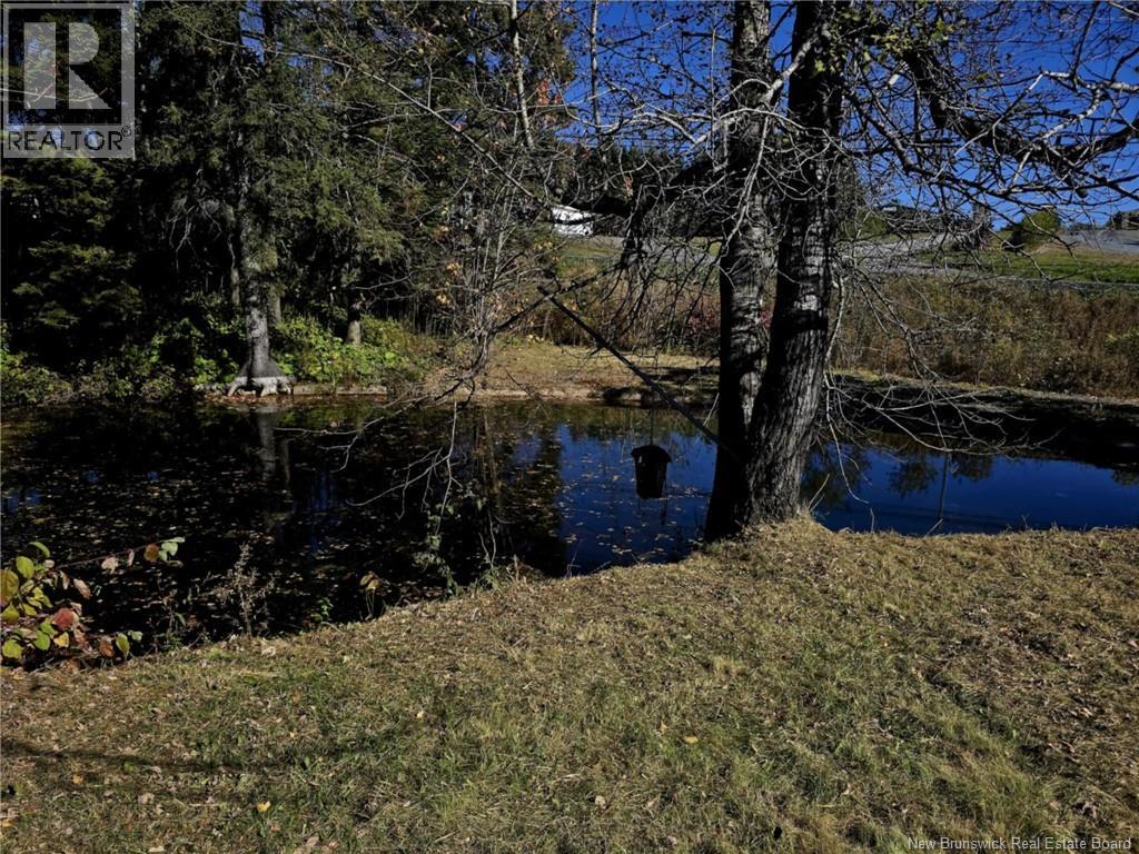 86 Saint Andre Road, Grand-Sault/grand Falls, New Brunswick  E3Y 3P7 - Photo 45 - NB127658