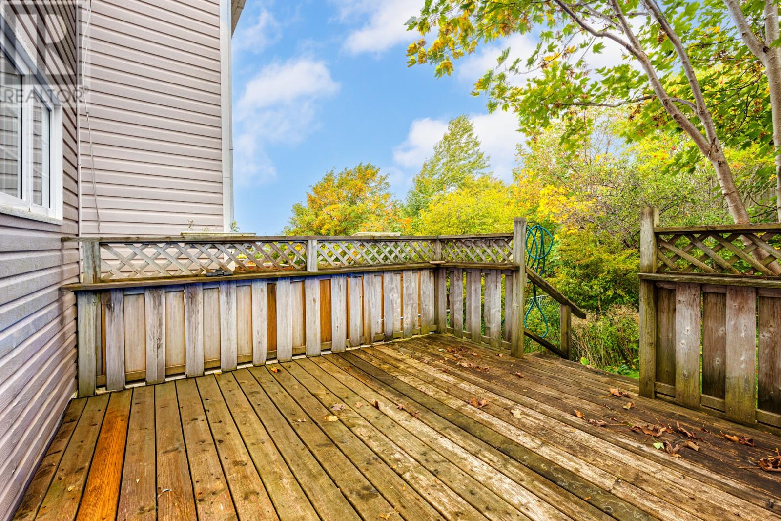 136 Watson Street, St. John's, Newfoundland & Labrador  A1A 3K2 - Photo 13 - 1291448