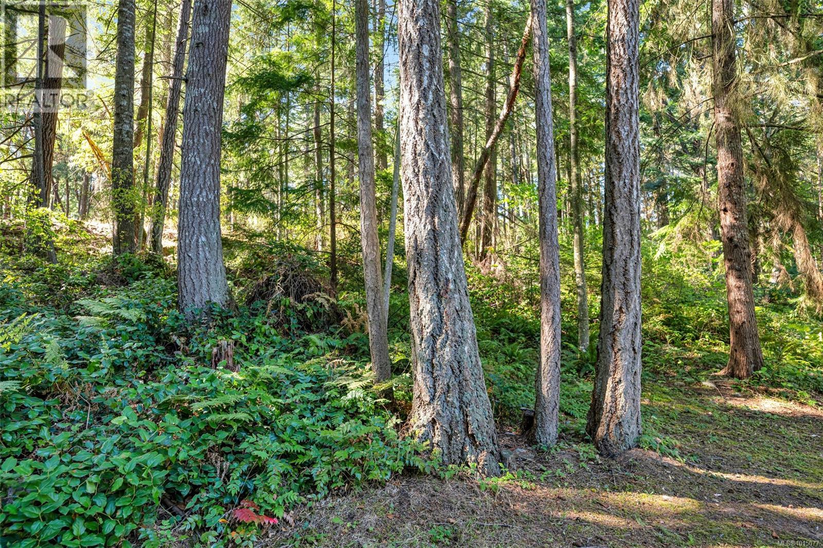 1750 Escarpment Way, Duncan, British Columbia  V9L 5W7 - Photo 77 - 1015077