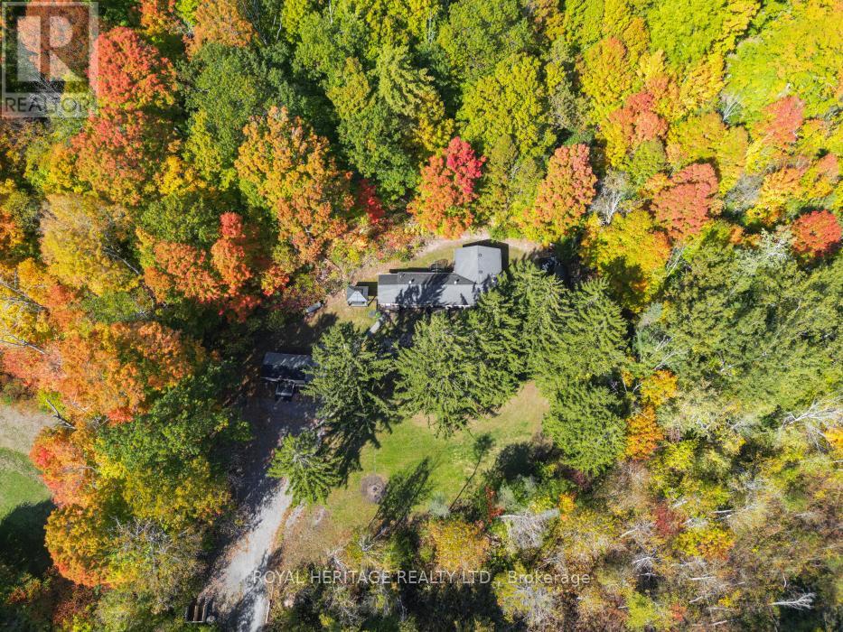 15354 County Road 2 Road, Brighton, Ontario  K0K 1H0 - Photo 44 - X12453110