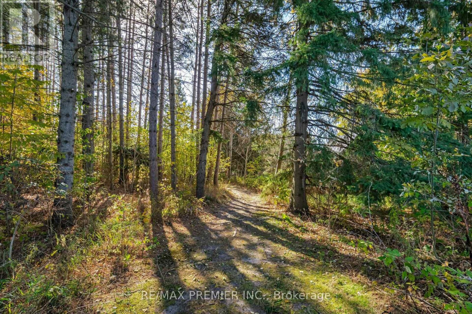 4904 10th Side Road, Essa, Ontario  L0L 2N0 - Photo 38 - N12459628
