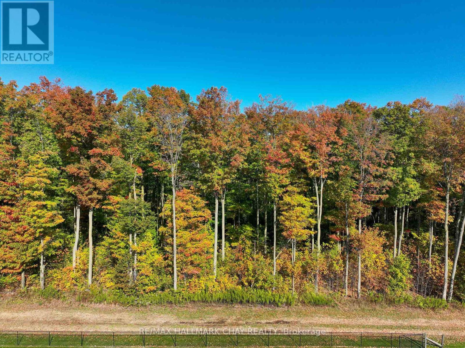 7558 Concession Road 2 Road, Adjala-Tosorontio, Ontario  L0M 1M0 - Photo 43 - N12336800