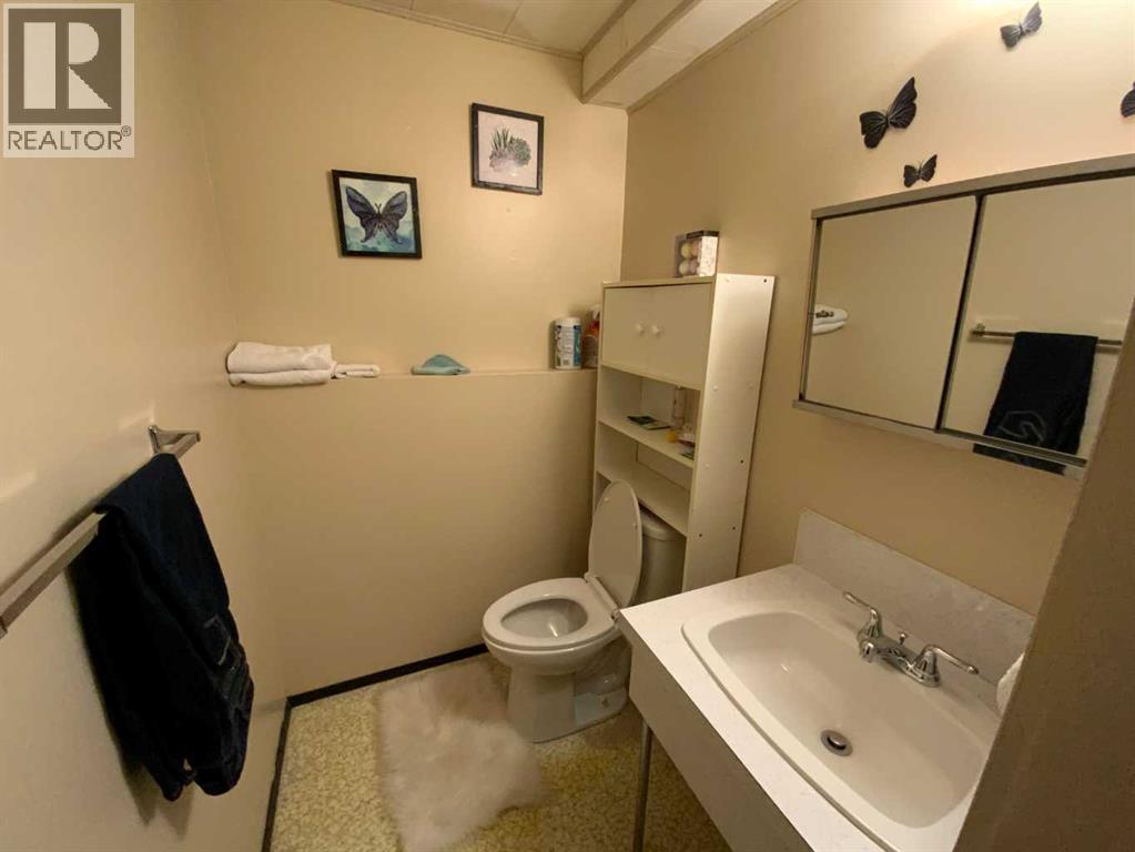 441 4 Avenue Se, Three Hills, Alberta  T0M 2A0 - Photo 11 - A2262954