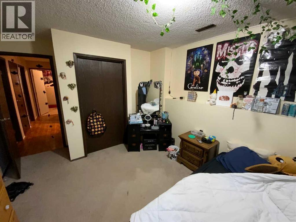 441 4 Avenue Se, Three Hills, Alberta  T0M 2A0 - Photo 15 - A2262954