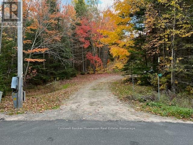 2613 Stisted Road S, Mcmurrich/monteith, Ontario  P0A 1Y0 - Photo 1 - X12344726