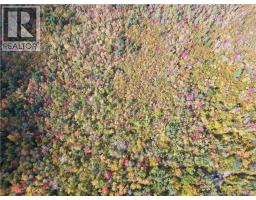 Lot 20 Green Road