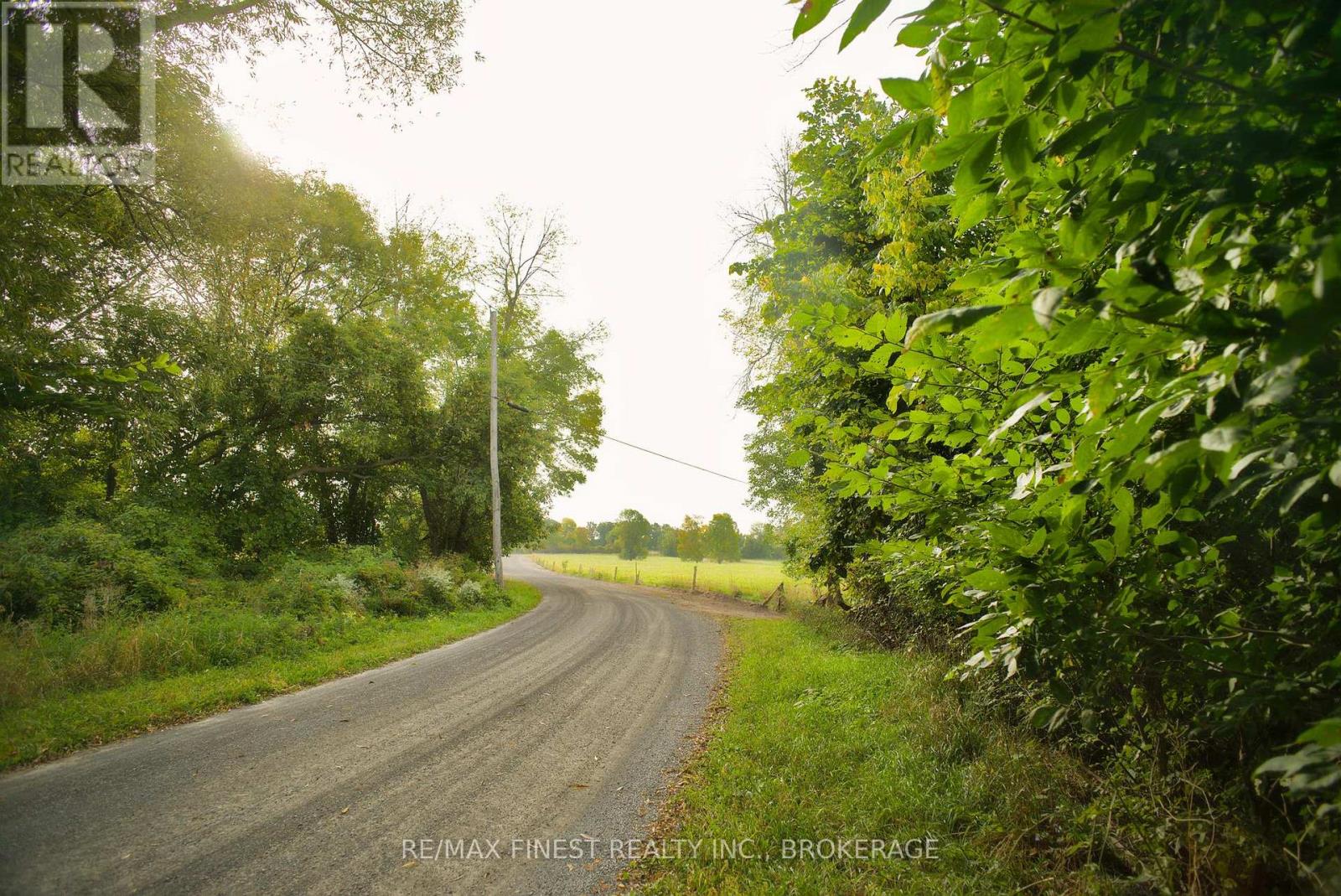 15355 Front Road, Loyalist (Lennox And Addington - South), Ontario  K0H 2S0 - Photo 19 - X12459872