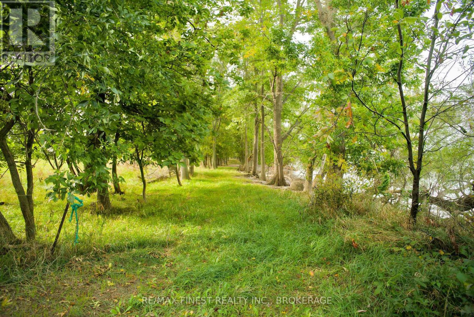 15355 Front Road, Loyalist (Lennox And Addington - South), Ontario  K0H 2S0 - Photo 6 - X12459872