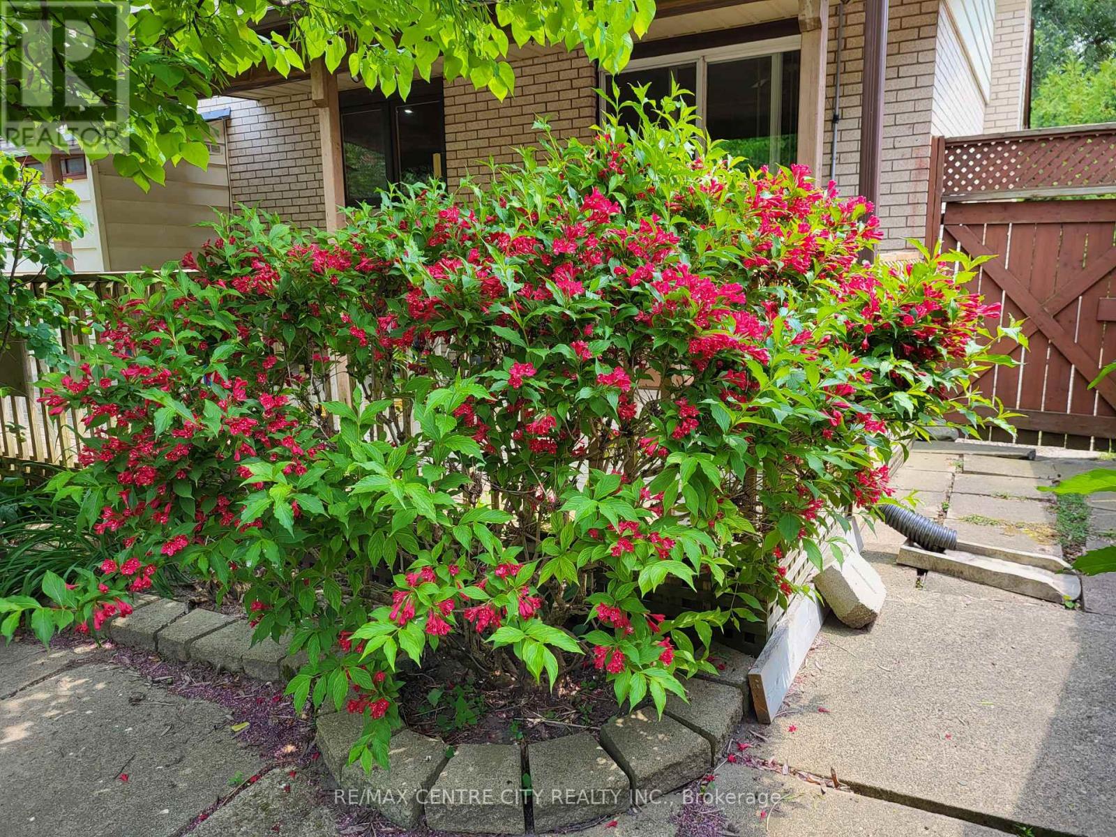 Photo 49 of 50 for 108 Cecilia Place